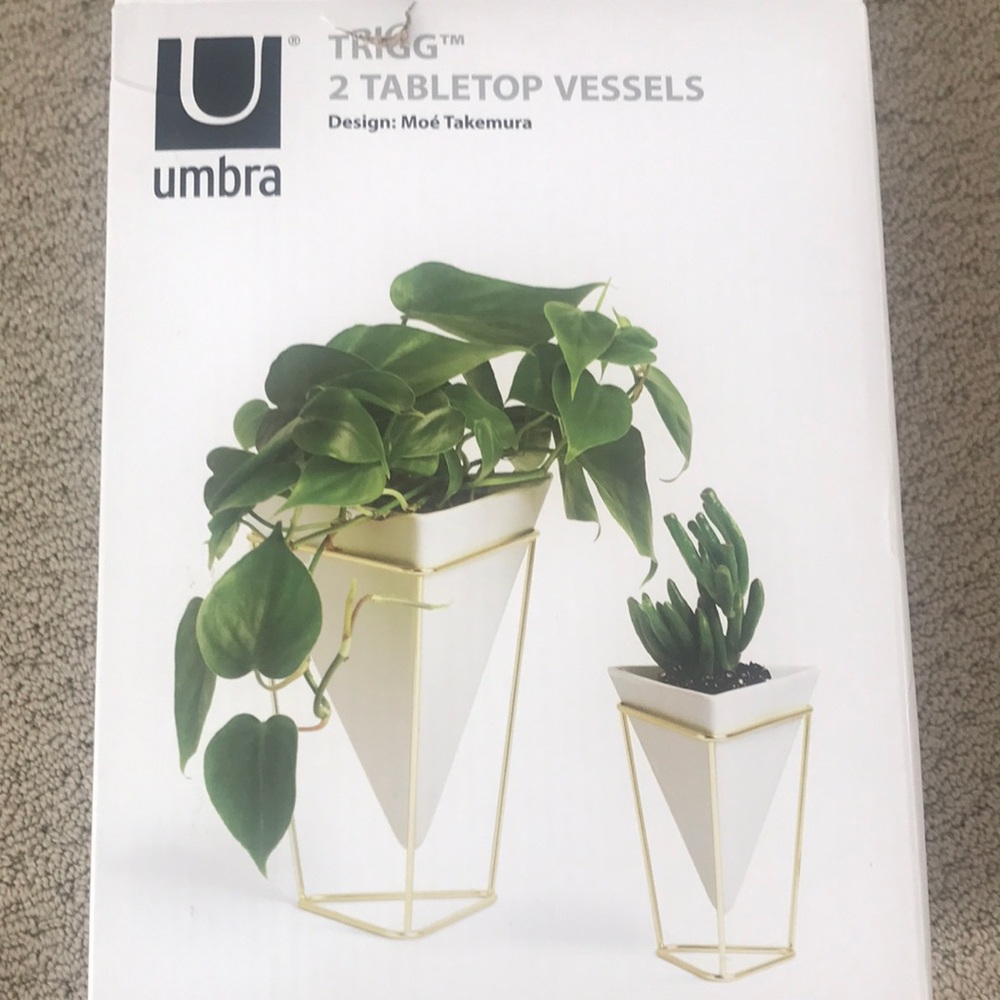 Umbra White and Gold Tabletop Vessels